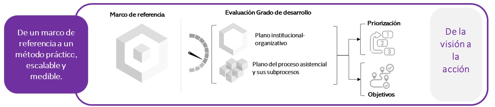 Esquema del Proyecto Impulso: del marco de referencia a la evaluación del grado de desarrollo en el plano institucional y asistencial, con priorización y definición de objetivos para pasar de la visión a la acción